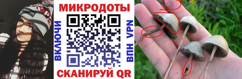 Галлюциногенные грибы ЛСД  закладка  Карабаш 